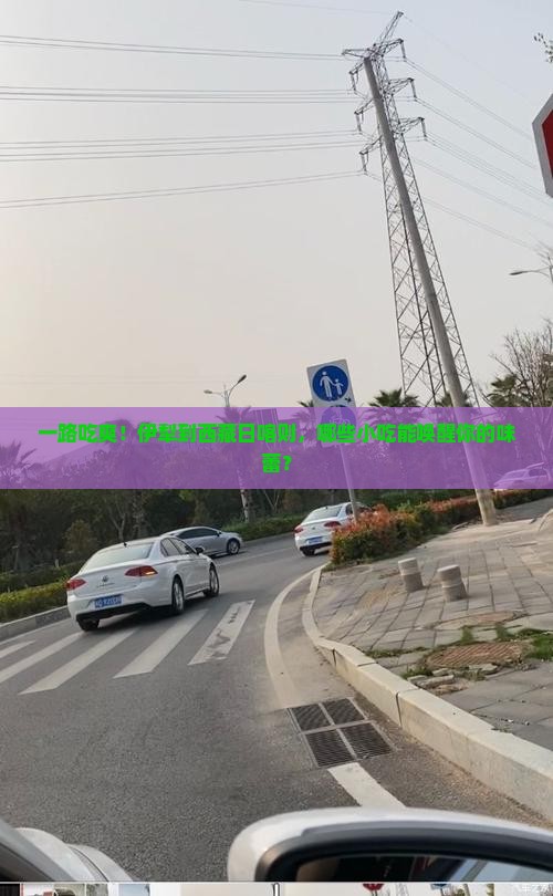 伊犁到西藏日喀则旅游小吃