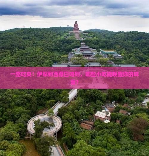 伊犁到西藏日喀则旅游小吃