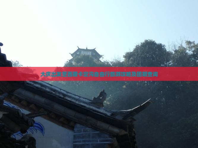 大庆到西藏卡定沟自由团