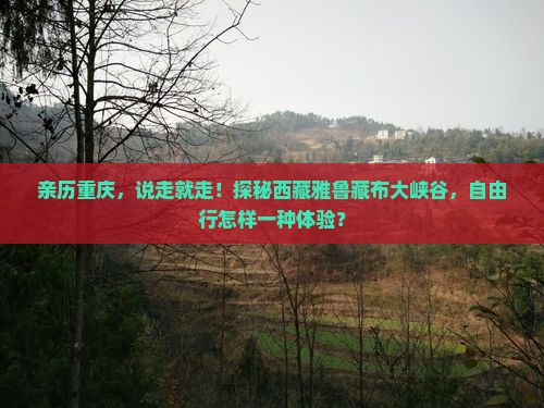 重庆去西藏雅鲁藏布大峡谷自由团