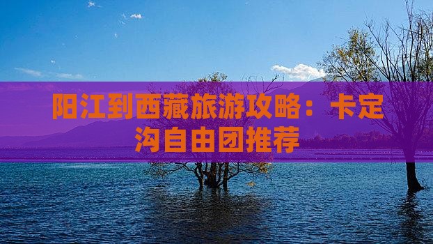 阳江去西藏卡定沟自由团