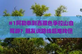 阿勒泰去西藏色季拉山自由团