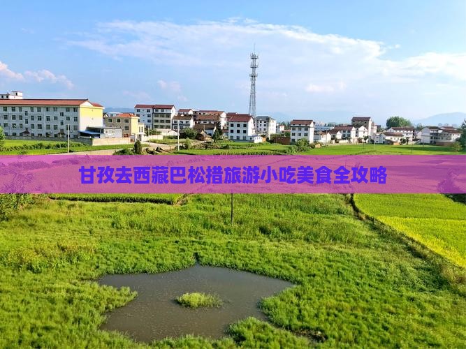 甘孜去西藏巴松措旅游小吃