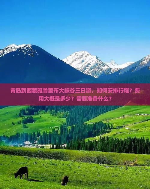 青岛到西藏雅鲁藏布大峡谷三日游