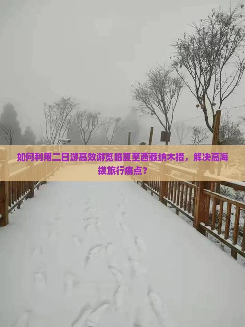 临夏去西藏纳木措二日游