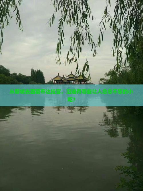聊城到西藏布达拉宫旅游小吃