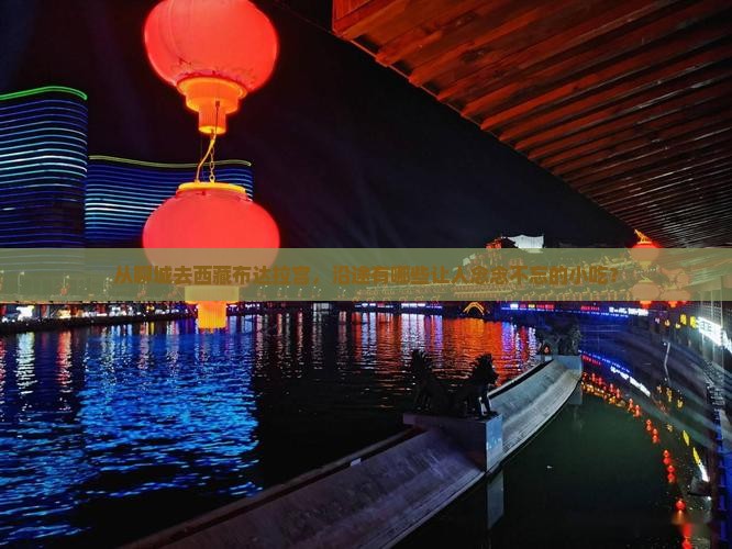 聊城到西藏布达拉宫旅游小吃