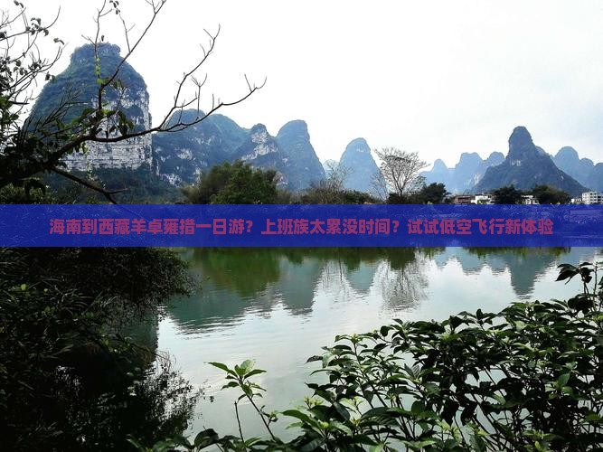 海南到西藏羊卓雍措一日