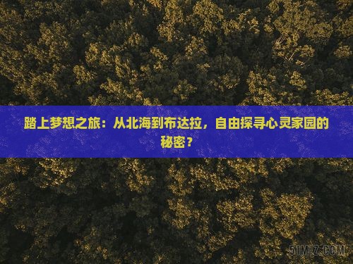 北海去西藏布达拉宫自由团