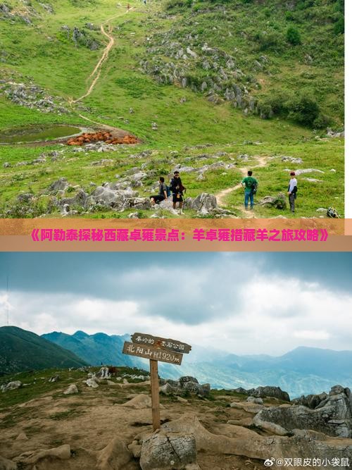 阿勒泰去西藏羊卓雍措旅游