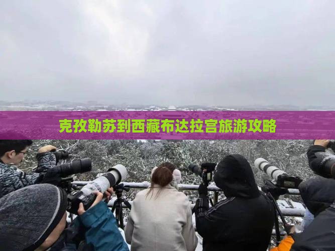 克孜勒苏去西藏布达拉宫门票