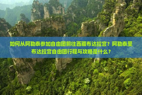 阿勒泰去西藏布达拉宫自由团