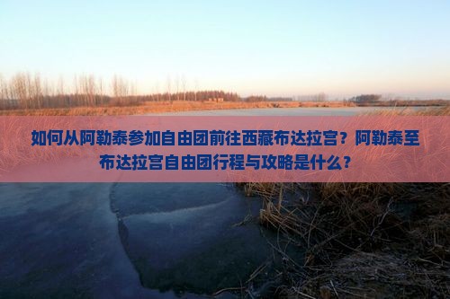 阿勒泰去西藏布达拉宫自由团