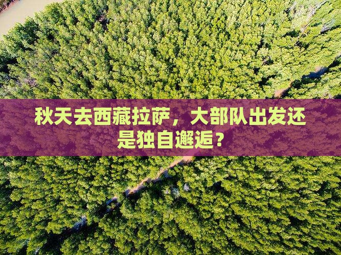 秋天去西藏拉萨大型旅游团 秋天去西藏拉萨大型旅游团
