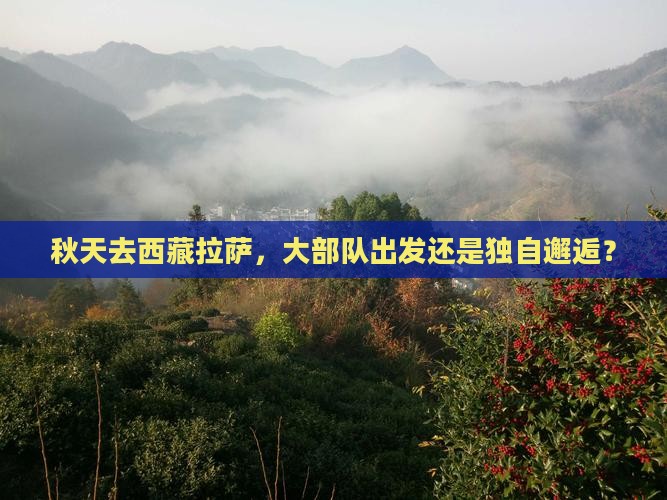 秋天去西藏拉萨大型旅游团 秋天去西藏拉萨大型旅游团