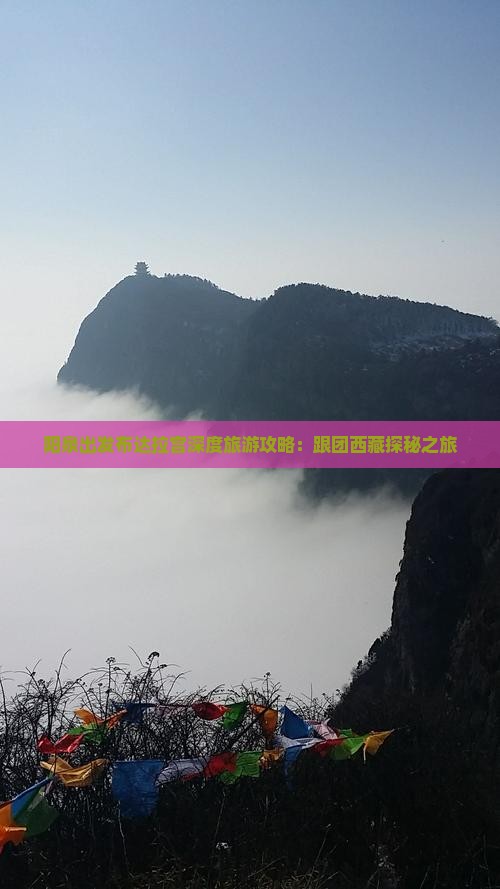 阳泉去西藏布达拉宫自由团