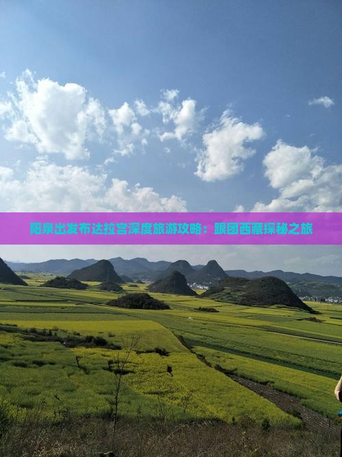 阳泉去西藏布达拉宫自由团