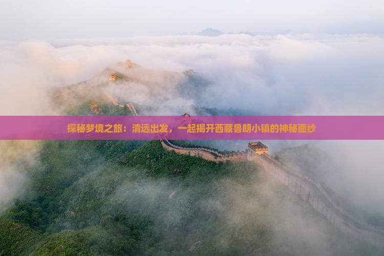 清远到西藏鲁朗小镇旅游