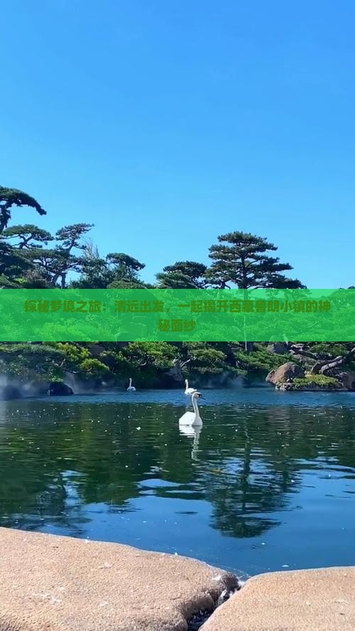 清远到西藏鲁朗小镇旅游