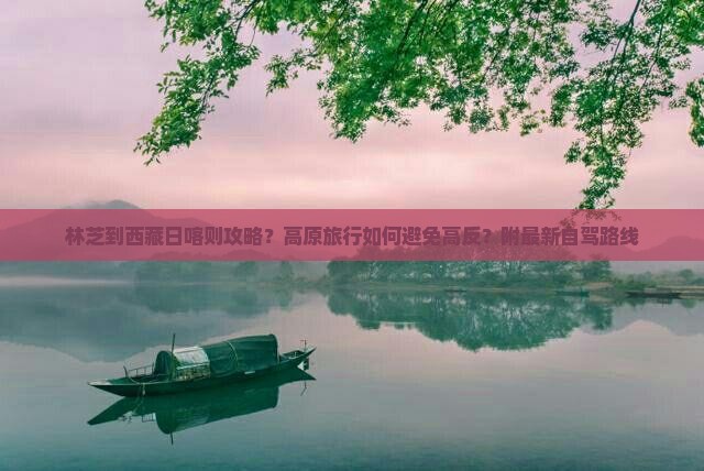 林芝到西藏日喀则攻略