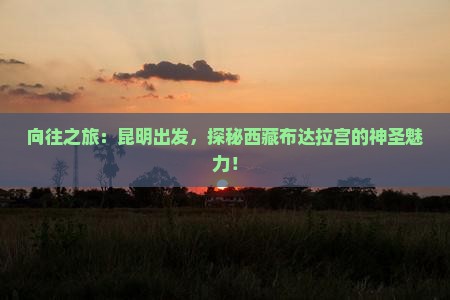 昆明到西藏布达拉宫景点