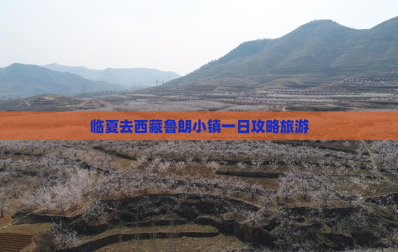 临夏去西藏鲁朗小镇一日