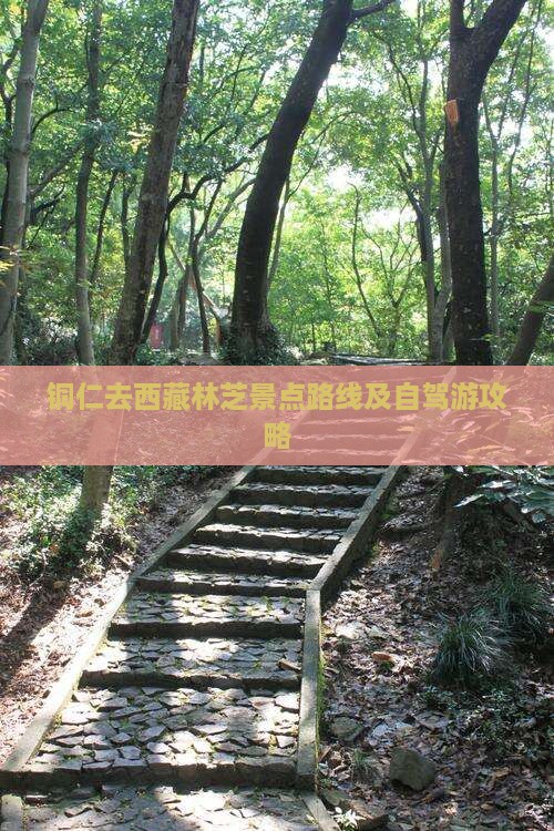 铜仁去西藏林芝景点