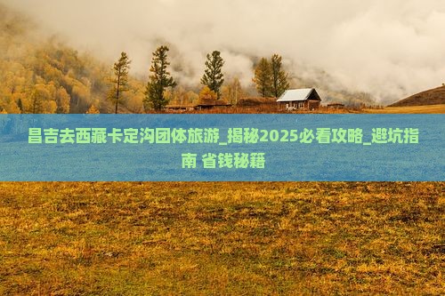 昌吉去西藏卡定沟团体旅游