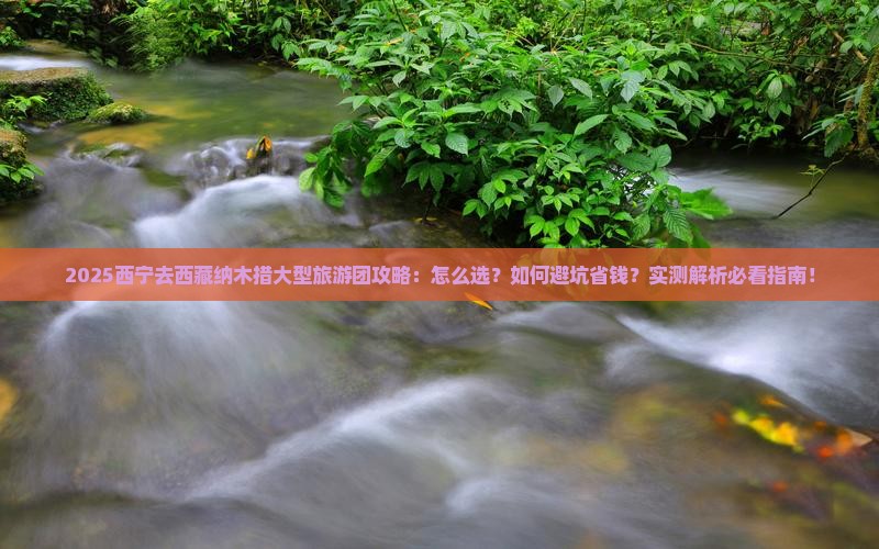 西宁去西藏纳木措大型旅游团