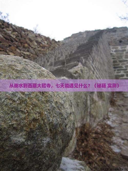 衡水到西藏大昭寺七日游