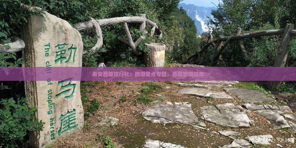 泰安到西藏旅行社