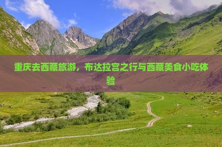 重庆去西藏布达拉宫旅游小吃
