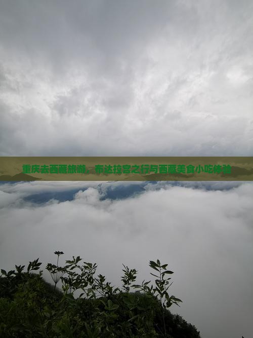 重庆去西藏布达拉宫旅游小吃