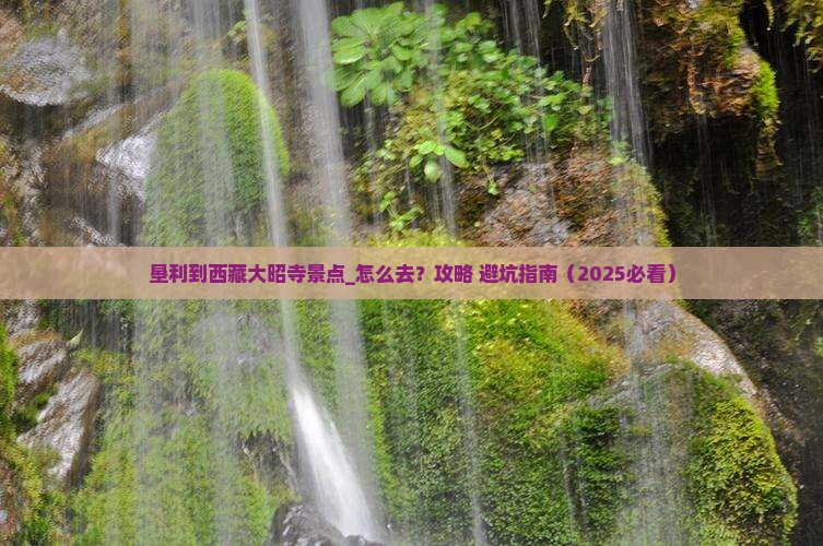垦利到西藏大昭寺景点 垦利到西藏大昭寺景点