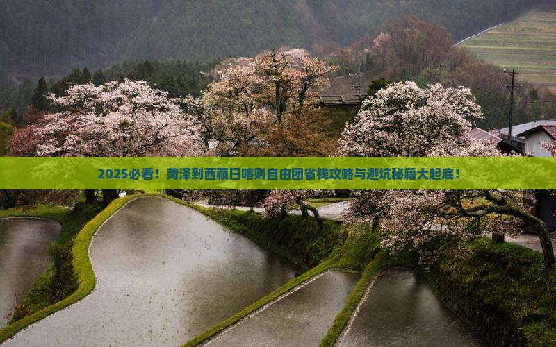 菏泽到西藏日喀则自由团