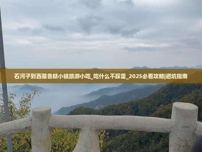 石河子到西藏鲁朗小镇旅游小吃