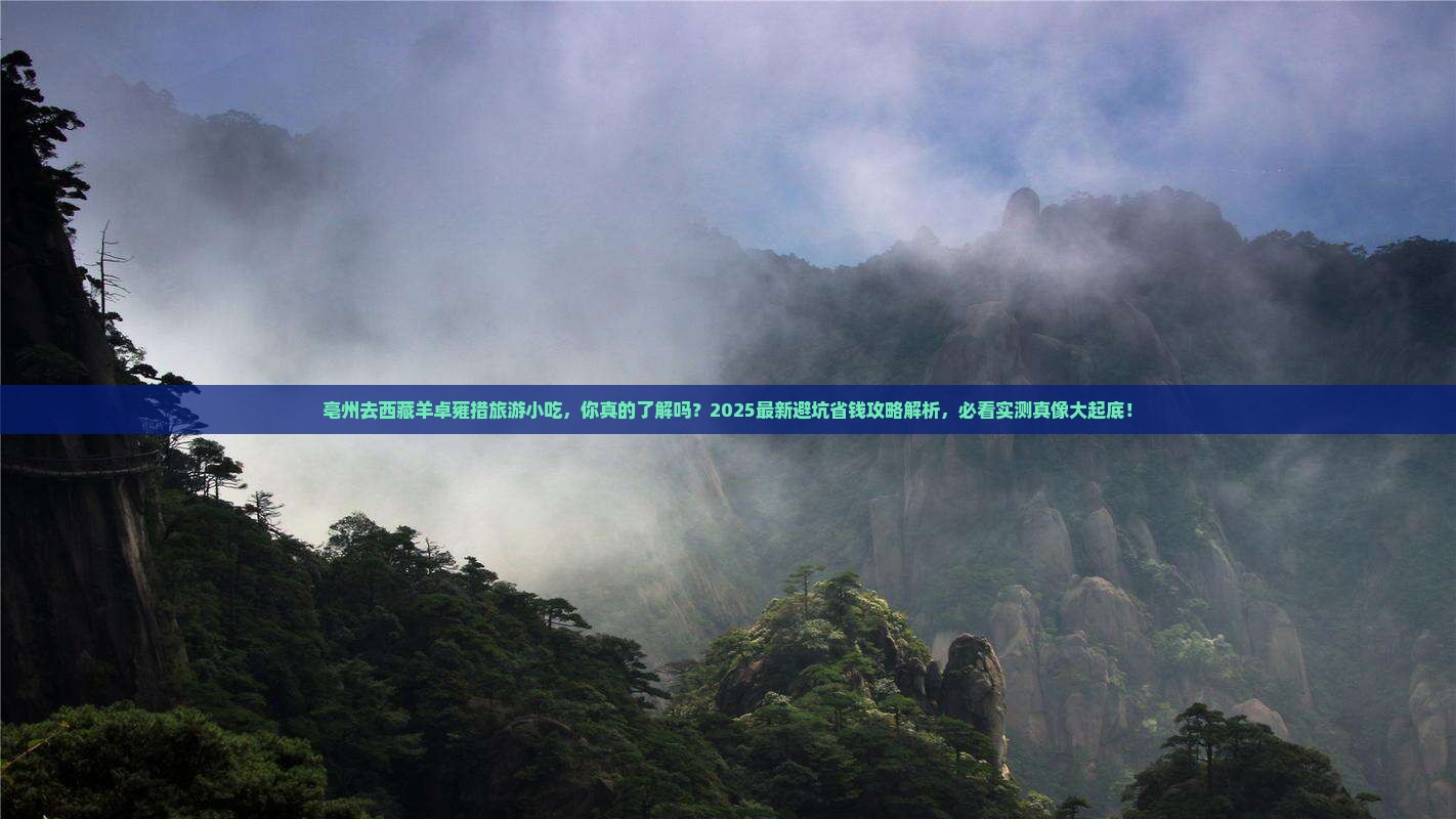 亳州去西藏羊卓雍措旅游小吃