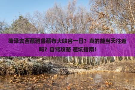 菏泽去西藏雅鲁藏布大峡谷一日