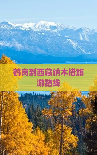 鹤岗到西藏纳木措景点