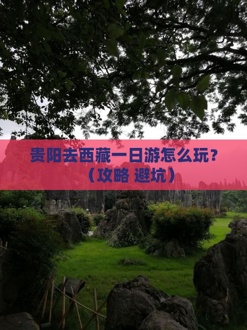 贵阳去西藏一日