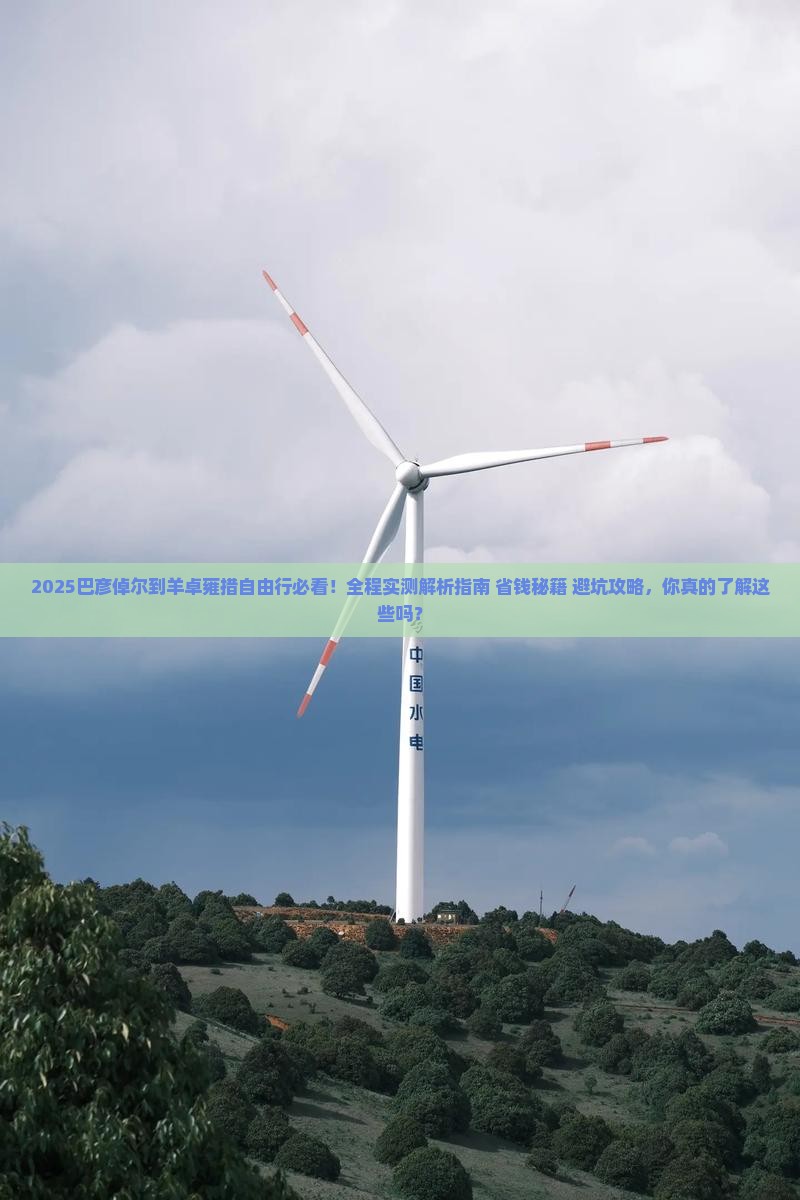 巴彦倬尔到西藏羊卓雍措自由行
