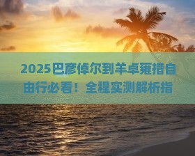 巴彦倬尔到西藏羊卓雍措自由行