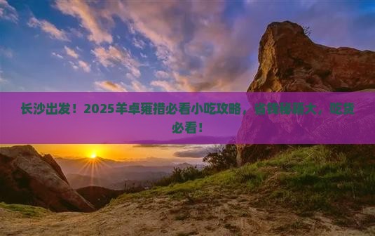 长沙去西藏羊卓雍措旅游小吃