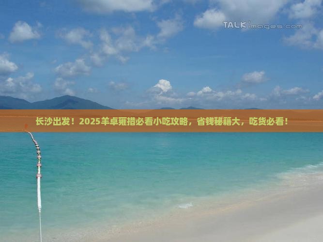长沙去西藏羊卓雍措旅游小吃
