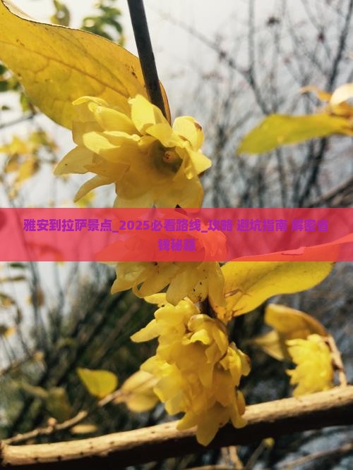雅安到西藏拉萨景点
