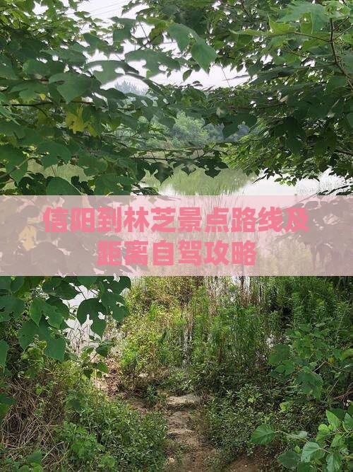 信阳到西藏林芝景点