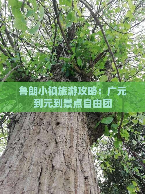 广元去西藏鲁朗小镇自由团