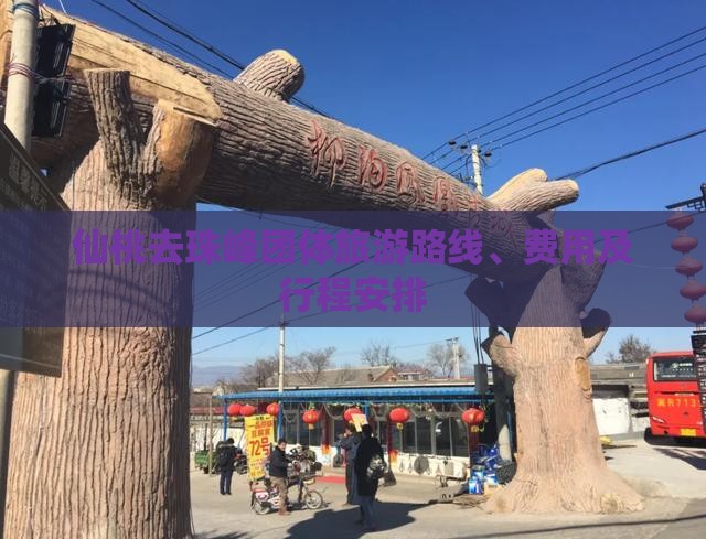 仙桃去西藏珠峰大本营团体旅游