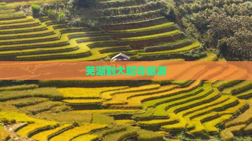 芜湖到西藏大昭寺旅游