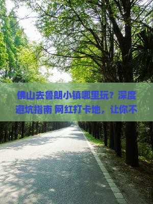 佛山去西藏鲁朗小镇哪里玩